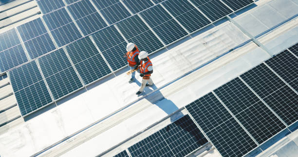 Best Storm Damage Roof Repair  in Niles, OH