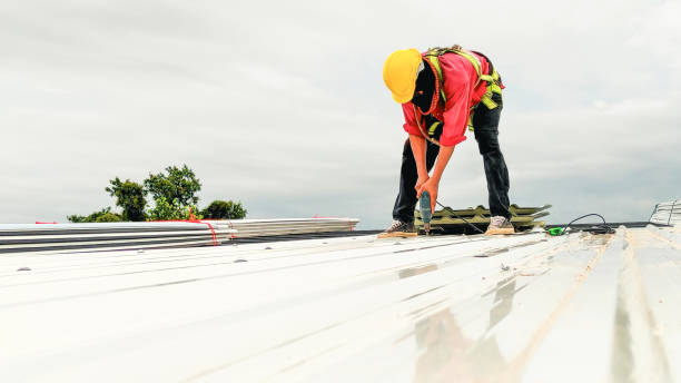 Best Roof Replacement  in Niles, OH