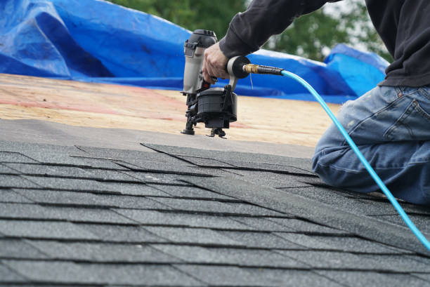 Best Sheet Metal Roofing  in Niles, OH