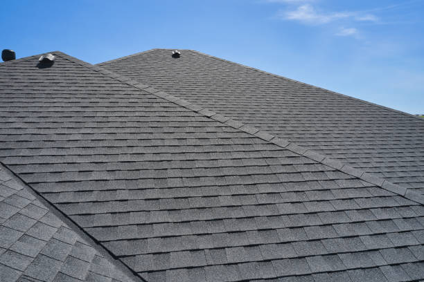 Best Hot Roofs  in Niles, OH